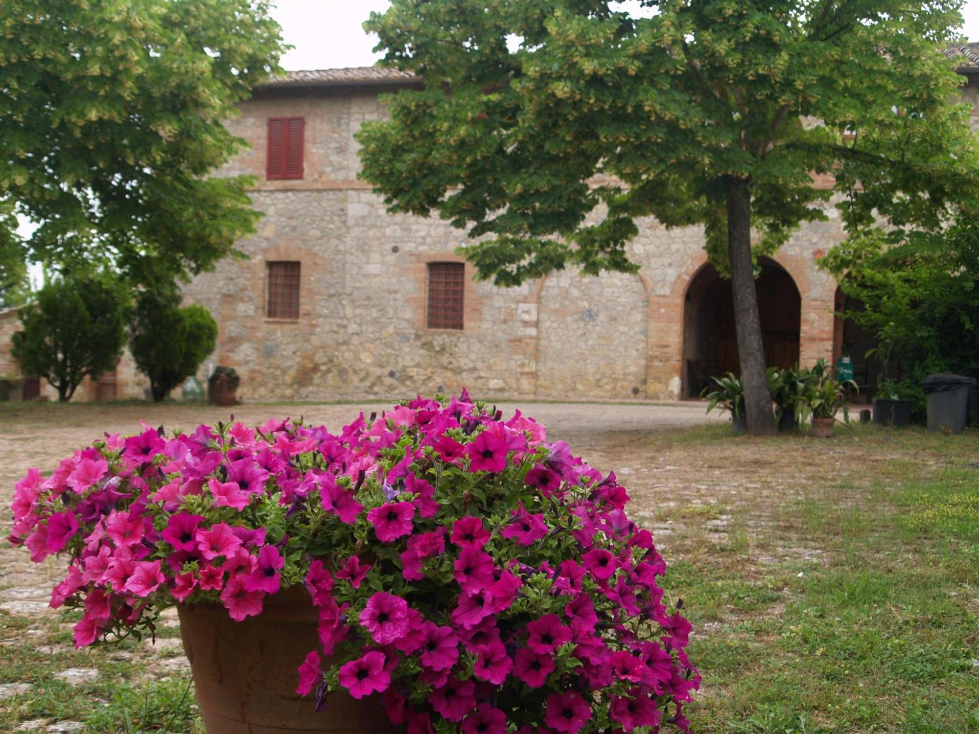 Agriturismo La Roverella Monteroni d'Arbia Room photo