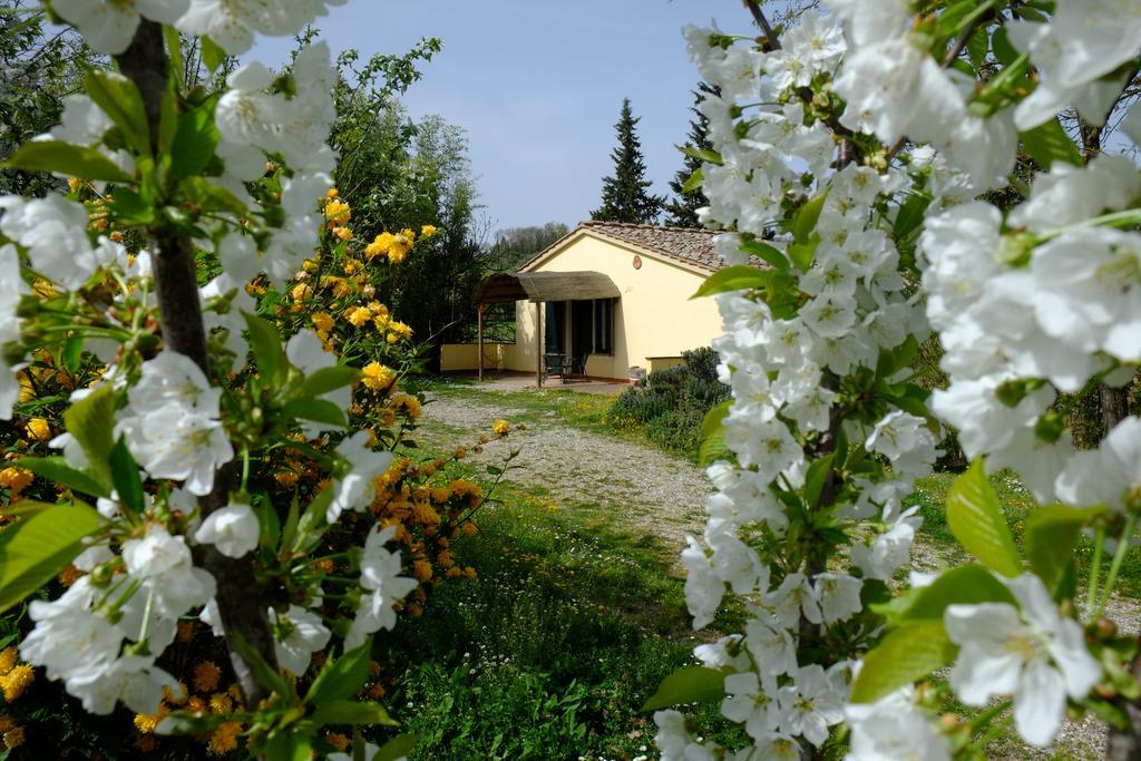 Agriturismo La Roverella Monteroni d'Arbia Exterior photo